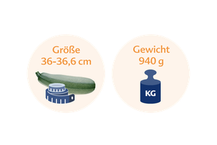 Eine Zucchini mit einer Größe von 36-36,6 cm und einem Gewicht von 940 g, daneben eine blaue Waage mit der Aufschrift "KG".