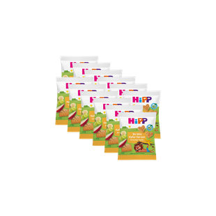 12er Pack HiPP Bio Mini Hafer Herzen Butterkeks-Geschmack in 40g-Beuteln für kleine Kinder-Snacks