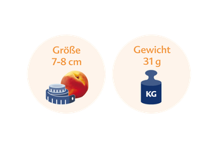 Ein Pfirsich mit einem Maßband daneben und einer blauen Gewichtsanzeige mit der Aufschrift "KG".