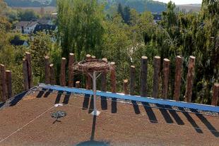Handgeflochtenes Storchennest auf dem begrünten Dach des HiPP Parkhauses, umgeben von Holzstämmen und viel Grün in Pfaffenhofen.