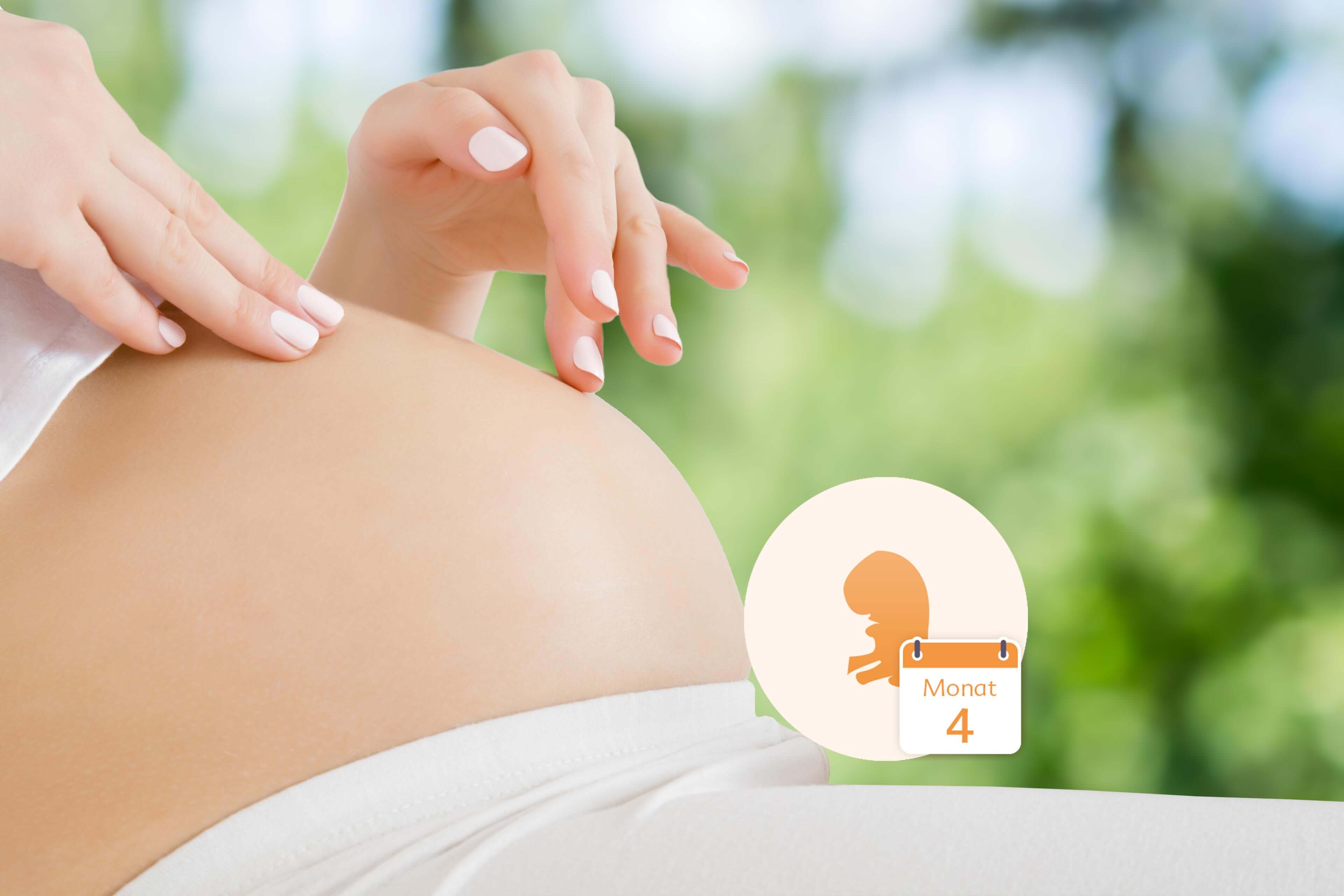 Nahaufnahme des Bauches einer schwangeren Frau mit einer Hand, die ihn sanft berührt, und einer Grafik eines Fötus innerhalb eines Kreises, neben dem das Datum "Monat 4" steht.