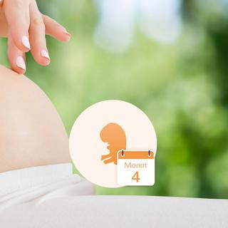 Nahaufnahme des Bauches einer schwangeren Frau mit einer Hand, die ihn sanft berührt, und einer Grafik eines Fötus innerhalb eines Kreises, neben dem das Datum "Monat 4" steht.