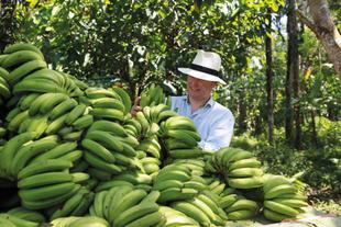 Stefan Hipp überprüft vor Ort in Costa Rica die Qualität der frisch geernteten Bio-Bananen.