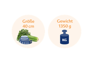 Vergleich zwischen der Höhe einer Selleriestange, die 40 cm beträgt, und ihrem Gewicht, das 1350 g beträgt.