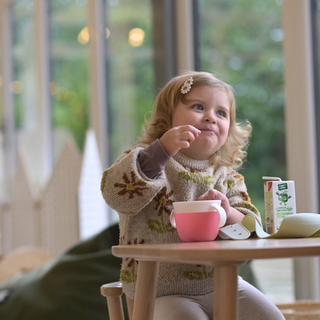 Toddler eating snacks