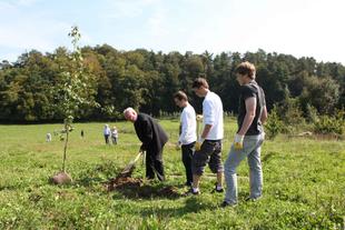 Mehrere Menschen pflanzen gemeinsam einen jungen Baum auf einer grünen Wiese vor einem Wald