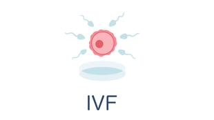 Eine rosafarbene Eizelle, umgeben von blauen Samenzellen, darunter die Aufschrift "IVF".