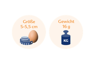 Zwei kreisförmige Icons. Das linke Symbol zeigt ein braunes Ei und ein blaues Maßband mit der Aufschrift "Größe 5-5,5 cm". Das rechte Symbol hat eine blaue Waage mit der Aufschrift "Gewicht 16 g".