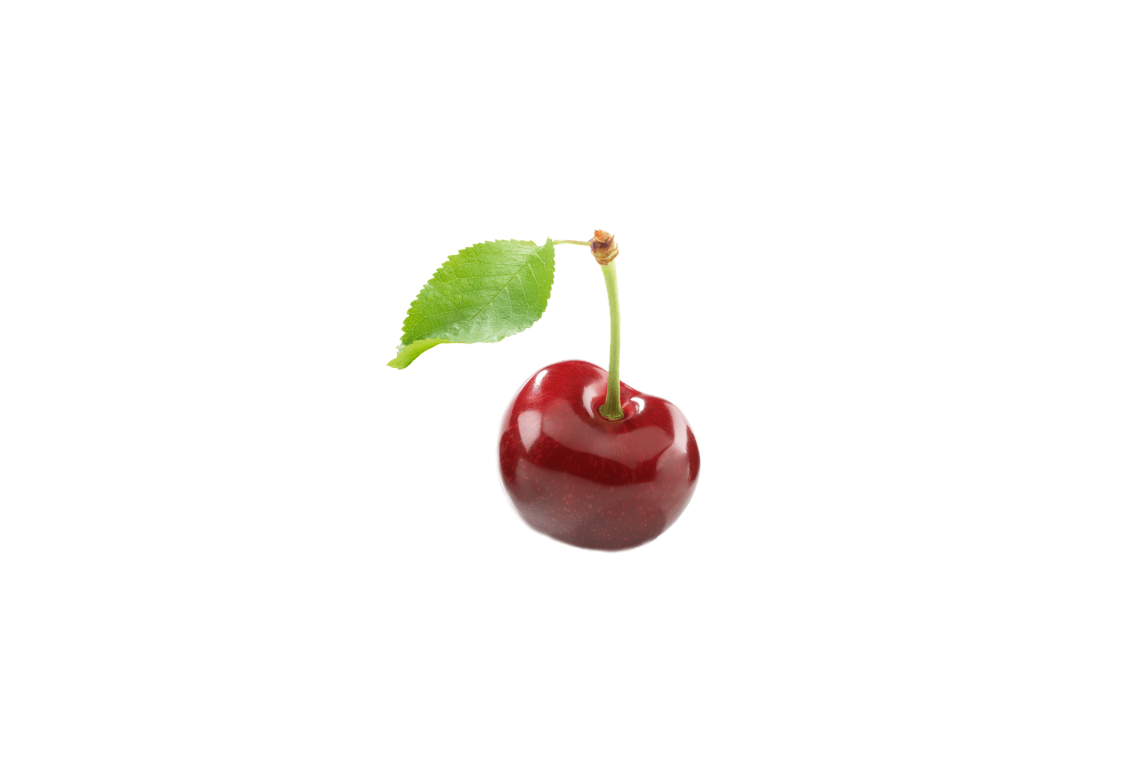 Eine leuchtend rote Kirsche mit einem grünen Blatt am Stiel.
