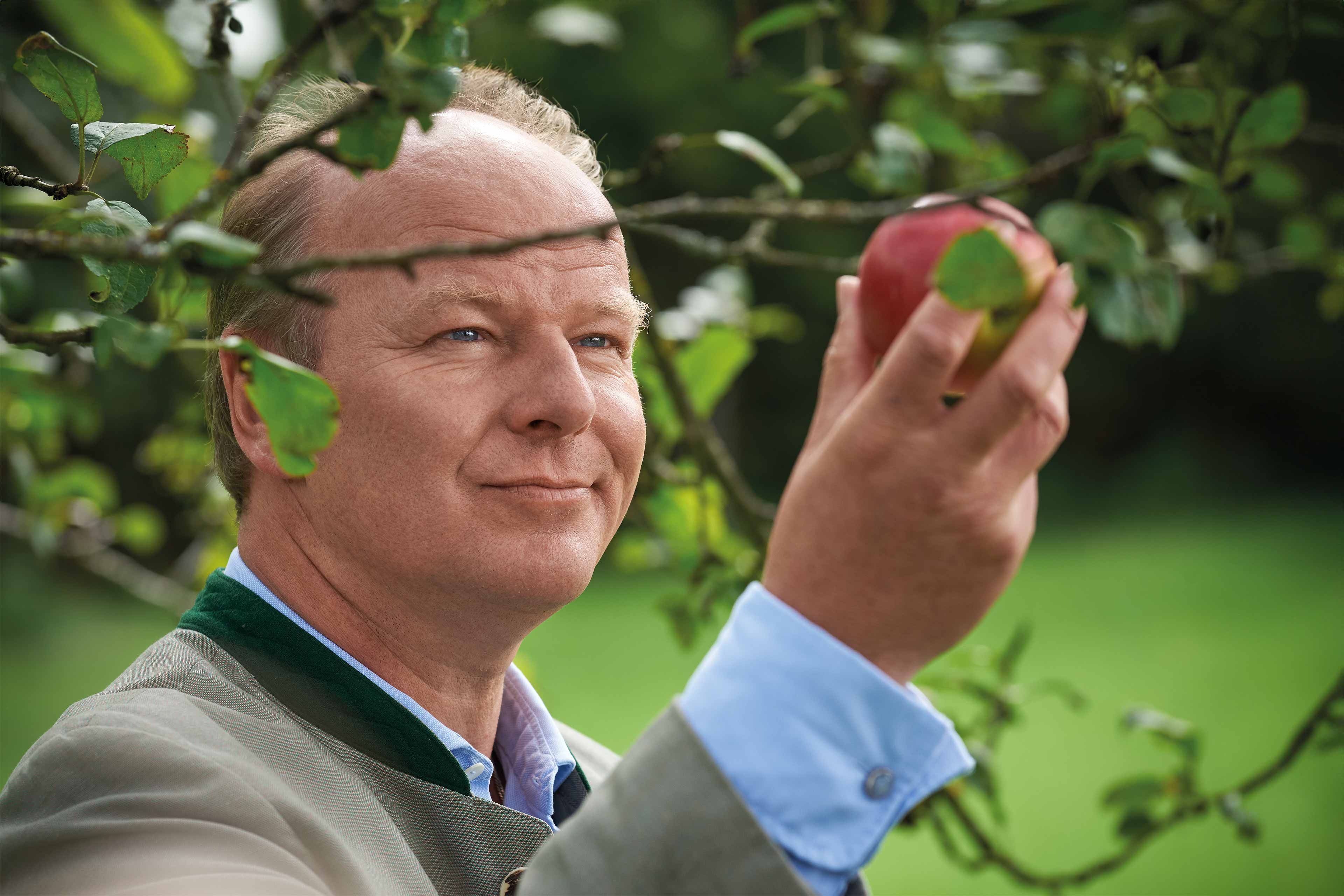 Mann im Obstgarten betrachtet prüfend einen roten Apfel am Baum, Symbol für Sorgfalt und Verantwortung bei HiPP.