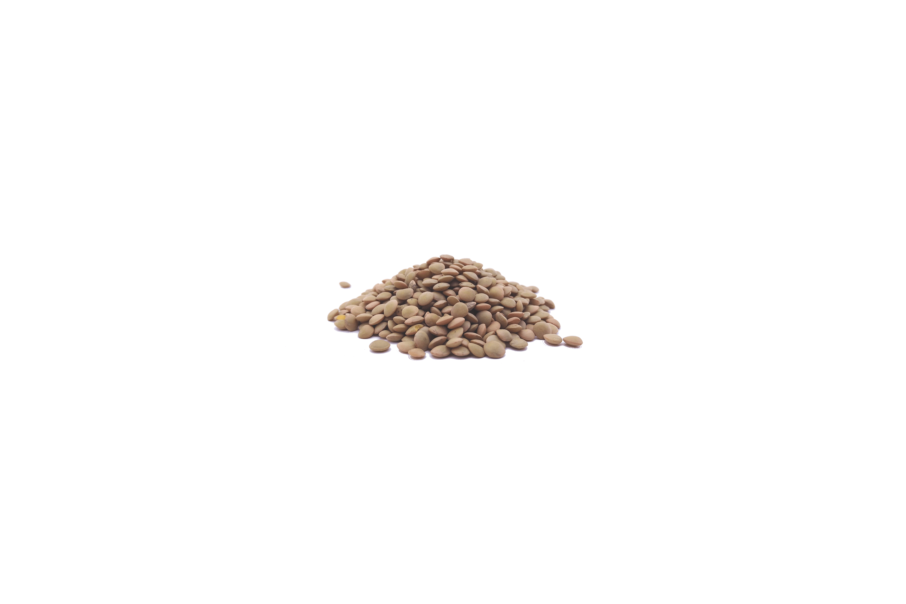 Ein Haufen bräunlich-grüner Linsen.