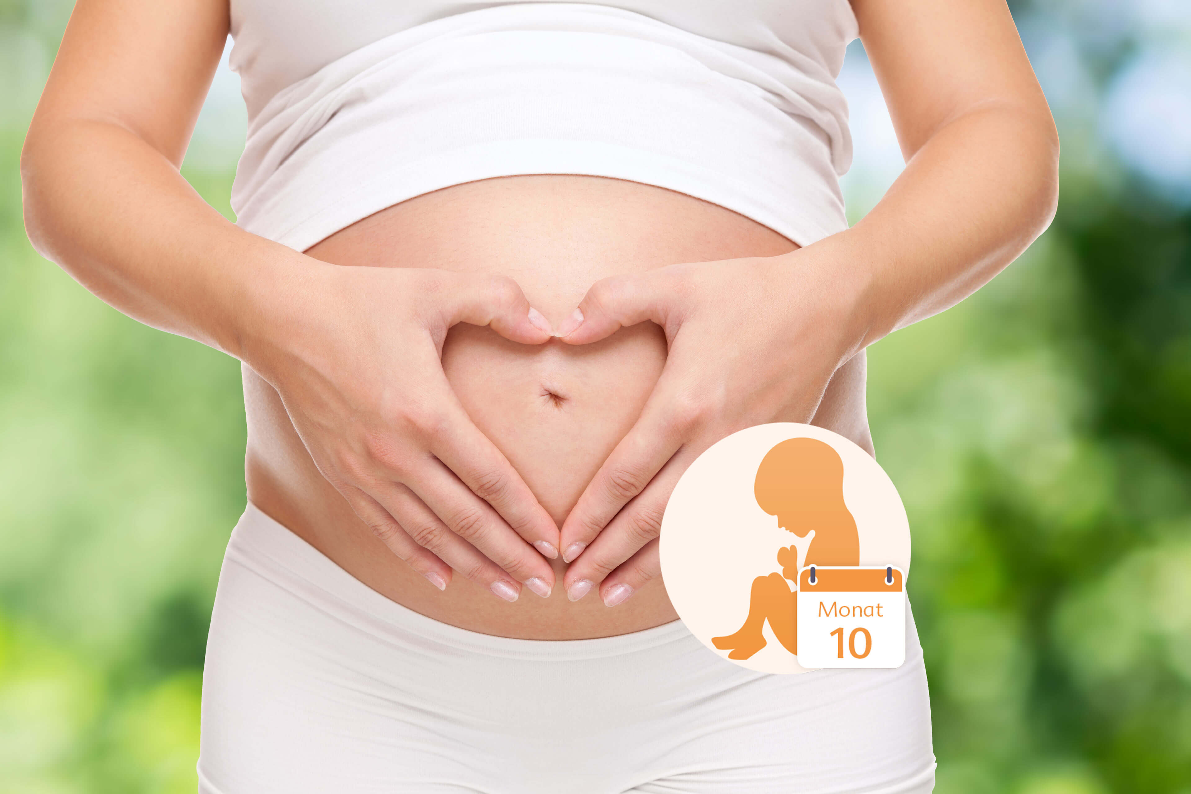 Der Bauch einer schwangeren Frau, über dem ihre Hände ein Herz bilden, und die Grafik eines Babys in einem Kreis, auf dem das Datum "Monat 10" steht.
