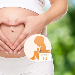 Der Bauch einer schwangeren Frau, über dem ihre Hände ein Herz bilden, und die Grafik eines Babys in einem Kreis, neben dem das Datum "Monat 10" steht.