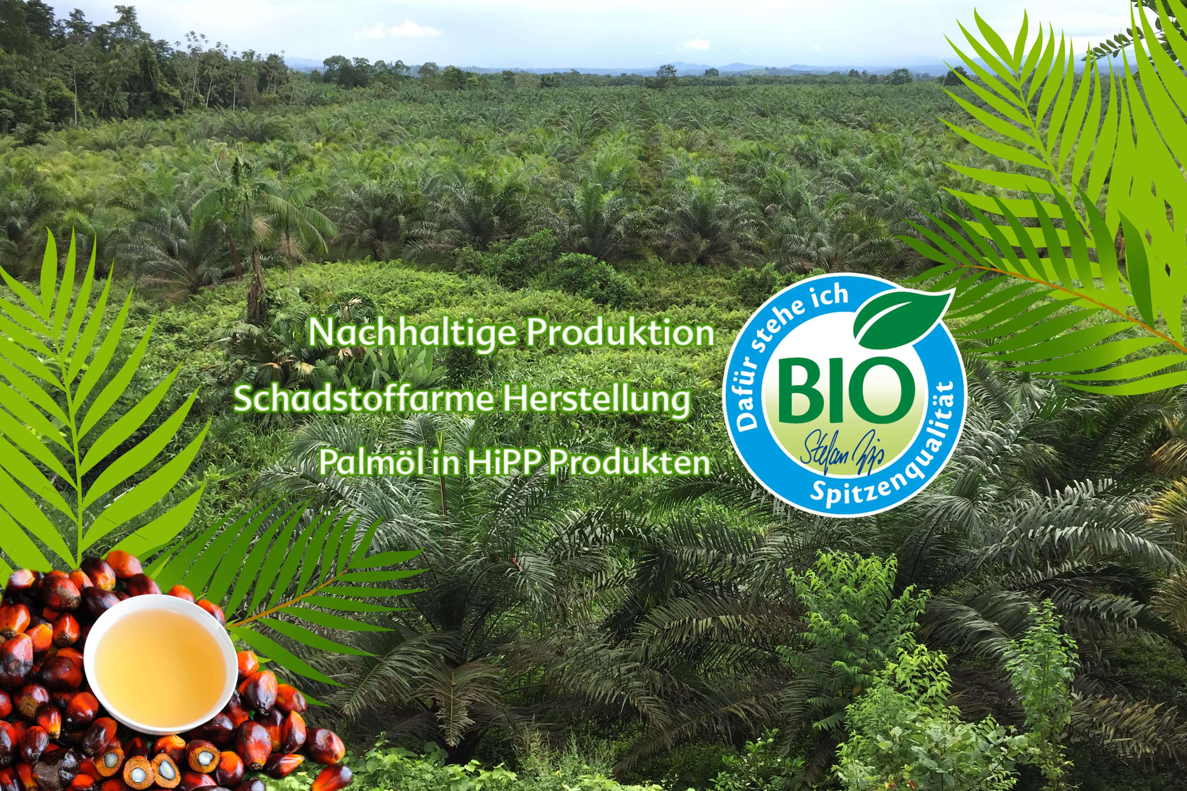 Weitläufige, grüne Bio-Palmölplantage mit HiPP BIO-Siegel und Text zu nachhaltiger, schadstoffarmer Palmöl-Herstellung