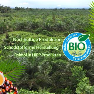 Weitläufige, grüne Bio-Palmölplantage mit HiPP BIO-Siegel und Text zu nachhaltiger, schadstoffarmer Palmöl-Herstellung