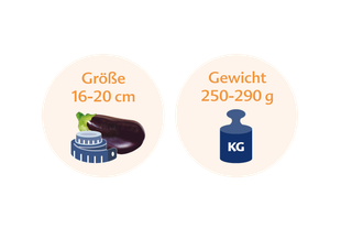 Ein Vergleich zwischen der Größe einer Aubergine und ihrem Gewicht in Kilogramm.