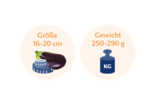 Ein Vergleich zwischen der Größe einer Aubergine und ihrem Gewicht in Kilogramm.