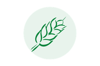 Grünes stilisiertes Ähren-Symbol vor hellem Kreis