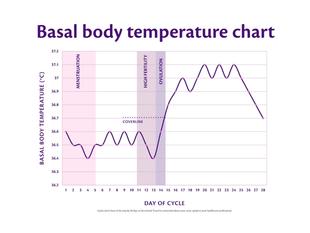 Basal body temperature chart showing a biphasic pattern with menstruation, high fertility and ovulation highlighted across the cycle.