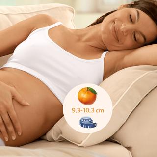 Eine Frau, die sich auf einer Couch ausruht, neben sich eine Orange und darunter ein Maßband mit einer Skala, auf der "9,3-10,3 cm" steht.