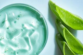 Aloe Vera Gel in einer Schale neben aufgeschnittenen Aloe Vera Stücken