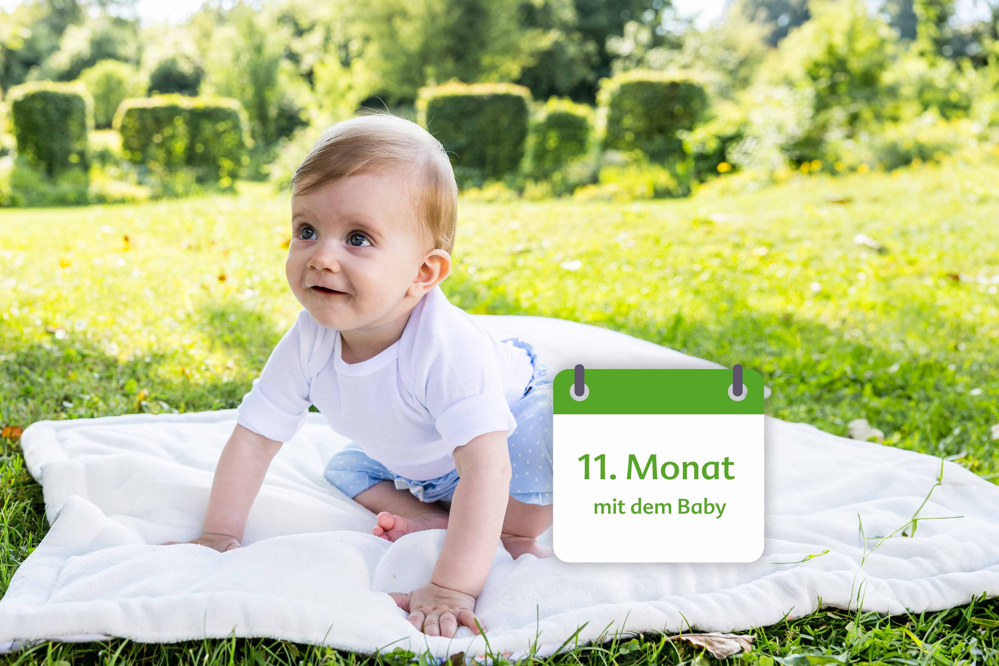 Ein Baby, vermutlich einen Monat alt, sitzt auf einer weißen Decke in einem grasbewachsenen Feld mit gelben Blumen.