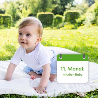 Ein Baby, vermutlich einen Monat alt, sitzt auf einer weißen Decke in einem grasbewachsenen Feld mit gelben Blumen.