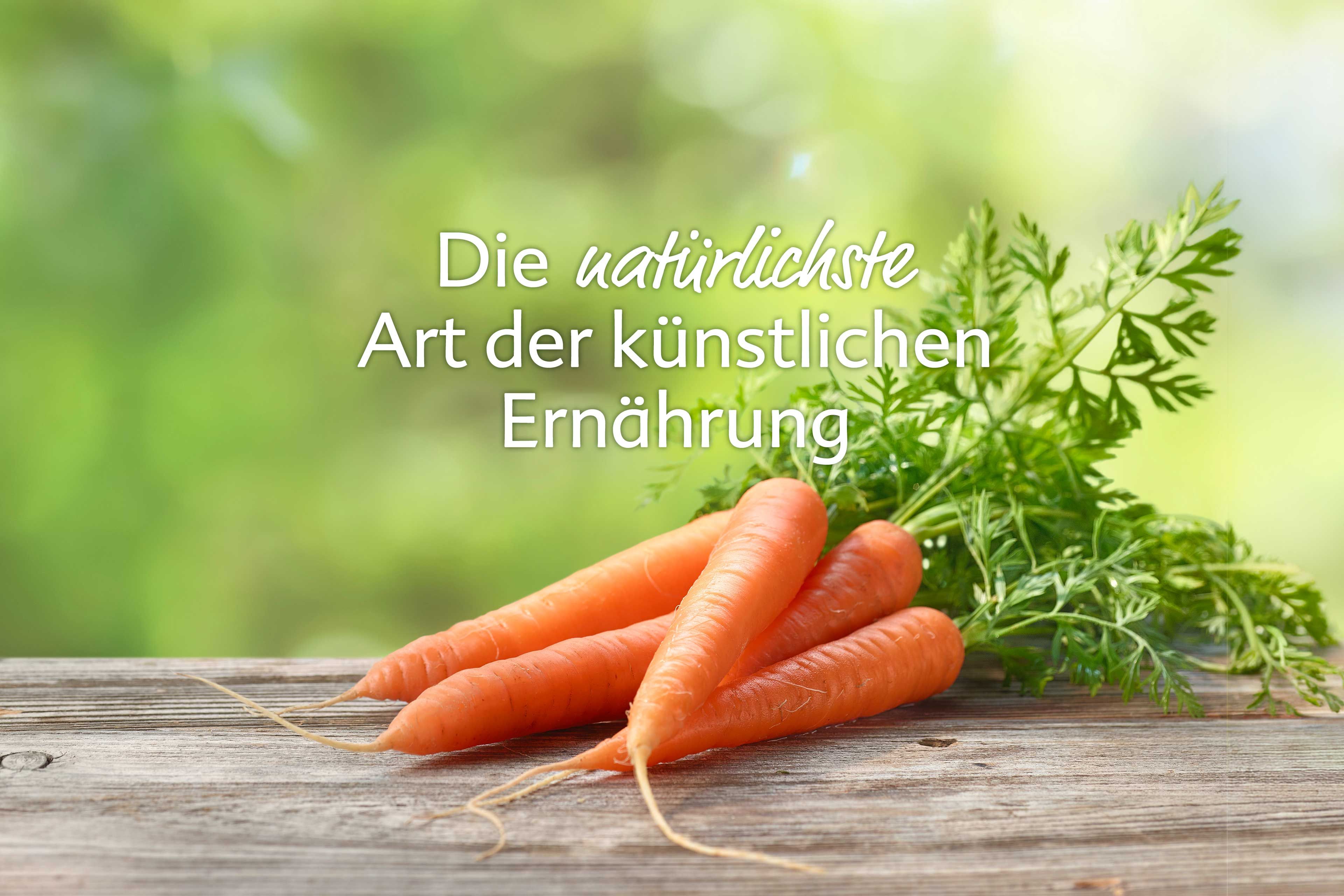 Frische Bundmöhren auf Holztisch vor grünem Hintergrund mit dem Schriftzug „Die natürlichste Art der künstlichen Ernährung“.