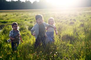 Drei kleine Kinder, zwei Jungen und ein Mädchen, spielen bei Sonnenuntergang auf einer Wiese.