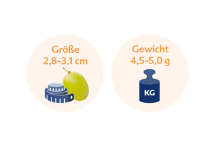 Zwei kreisförmige Icons. Das linke Symbol zeigt eine grüne Frucht, ein Maßband und den Text "Größe 2,8-3,1 cm". Das rechte Symbol zeigt eine blaue Waage mit der Aufschrift "Gewicht 4,5-5,0 g".