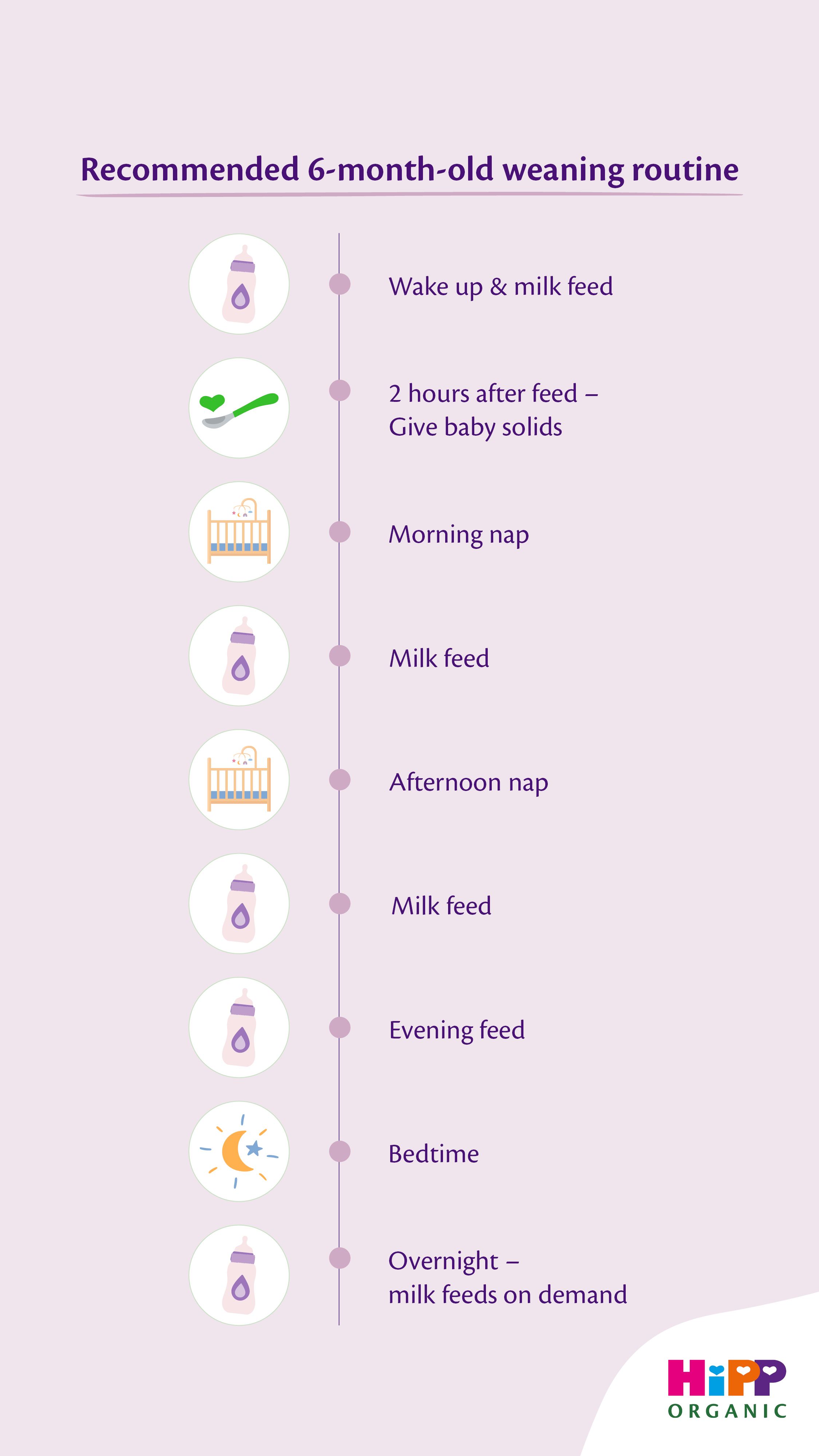 Recommended 6-month-old weaning routine." It displays a vertical timeline with icons on the left and text on the right outlining a suggested daily schedule:  Wake up & milk feed (baby bottle icon)  2 hours after feed – Give baby solids (spoon icon with green food)  Morning nap (crib icon)  Milk feed (baby bottle icon)  Afternoon nap (crib icon)  Milk feed (baby bottle icon)  Evening feed (baby bottle icon)  Bedtime (moon and star icon)  Overnight – milk feeds on demand (baby bottle icon)