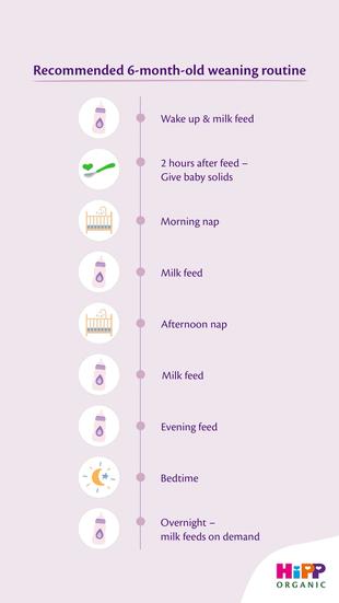 Recommended 6-month-old weaning routine." It displays a vertical timeline with icons on the left and text on the right outlining a suggested daily schedule: Wake up & milk feed (baby bottle icon) 2 hours after feed – Give baby solids (spoon icon with green food) Morning nap (crib icon) Milk feed (baby bottle icon) Afternoon nap (crib icon) Milk feed (baby bottle icon) Evening feed (baby bottle icon) Bedtime (moon and star icon) Overnight – milk feeds on demand (baby bottle icon)