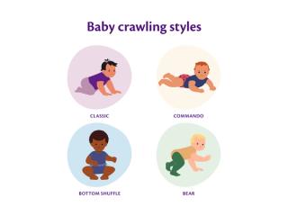 Illustration showing four baby crawling styles: classic, commando, bottom shuffle and bear, each in a separate coloured circle.