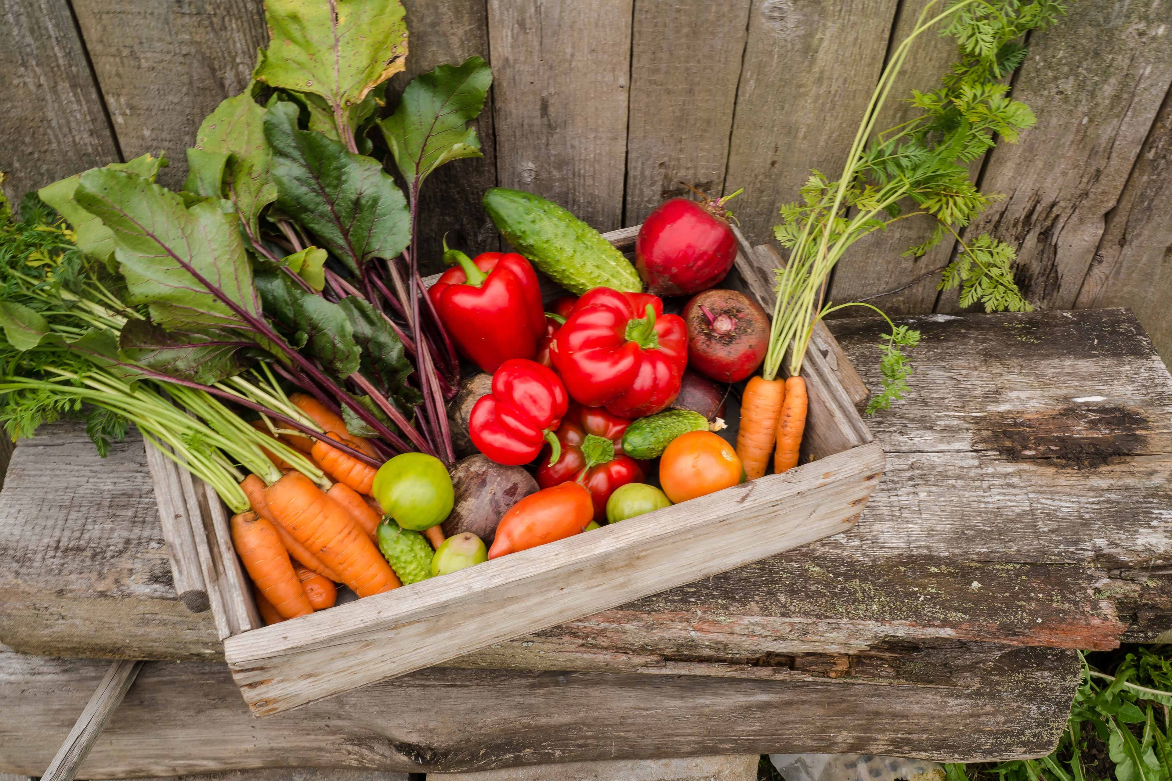 Eine Holzkiste, gefüllt mit frischem Gemüse, darunter Karotten, Rüben, Tomaten und Paprika, vor einem rustikalen Holzhintergrund.