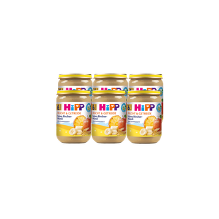 Sechserpack HiPP Frucht & Getreide Feines Bircher-Müsli im 190g-Glas für eine ausgewogene Babymahlzeit