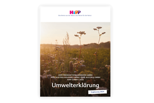 Eine ruhige Naturlandschaft bei Sonnenuntergang mit hohen Gräsern und Wildblumen, begleitet von einem Banner, das für die bevorstehende Veröffentlichung eines Films einer Produktionsfirma wirbt.