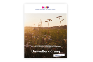 Eine ruhige Naturlandschaft bei Sonnenuntergang mit hohen Gräsern und Wildblumen, begleitet von einem Banner, das für die bevorstehende Veröffentlichung eines Films einer Produktionsfirma wirbt.