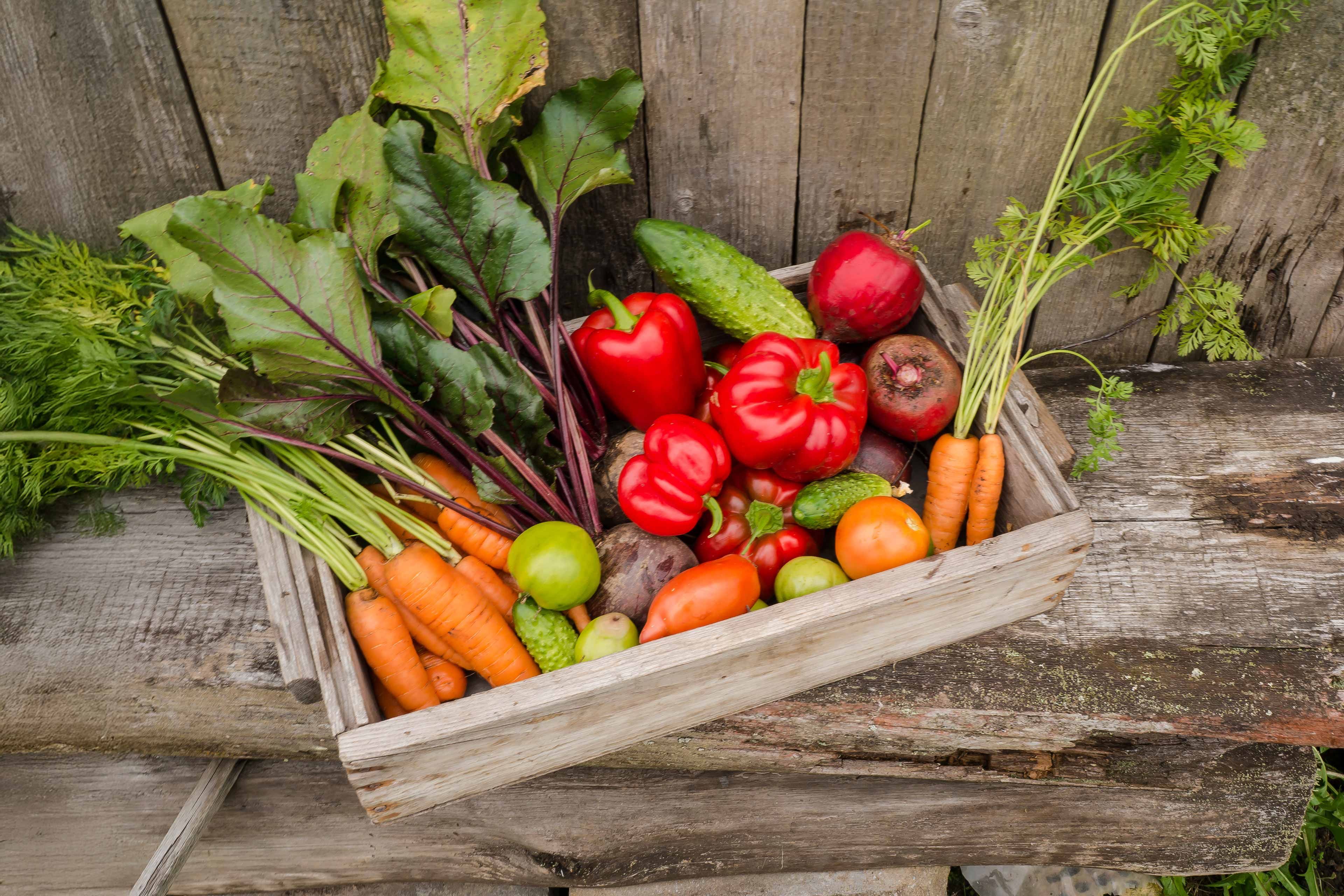 Eine Holzkiste, gefüllt mit frischem Gemüse, darunter Karotten, Rüben, Tomaten und Gurken, vor einer rustikalen Kulisse.