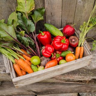 Eine Holzkiste, gefüllt mit frischem Gemüse, darunter Karotten, Rüben, Tomaten und Gurken, vor einer rustikalen Kulisse.