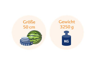 Eine Wassermelone neben einer blauen Waage, mit Textinformationen in Deutsch und Englisch.