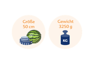 Eine Wassermelone neben einer blauen Waage, mit Textinformationen in Deutsch und Englisch.