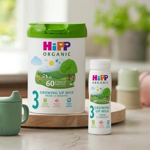 HiPP Organic growing up milk tub and ready-to-feed bottle on a kitchen counter beside a green toddler beaker