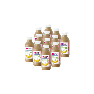 12er-Pack HiPP Sondennahrung Bananen-Geschmack in 500-ml-Flaschen