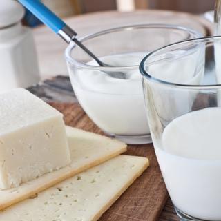 Verschiedene Milchprodukte, darunter Käse, Milch und Joghurt, auf einer rustikalen Holzfläche.