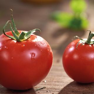 Zwei reife Tomaten mit Wassertropfen auf der Oberfläche, die auf eine Holzunterlage gelegt werden.