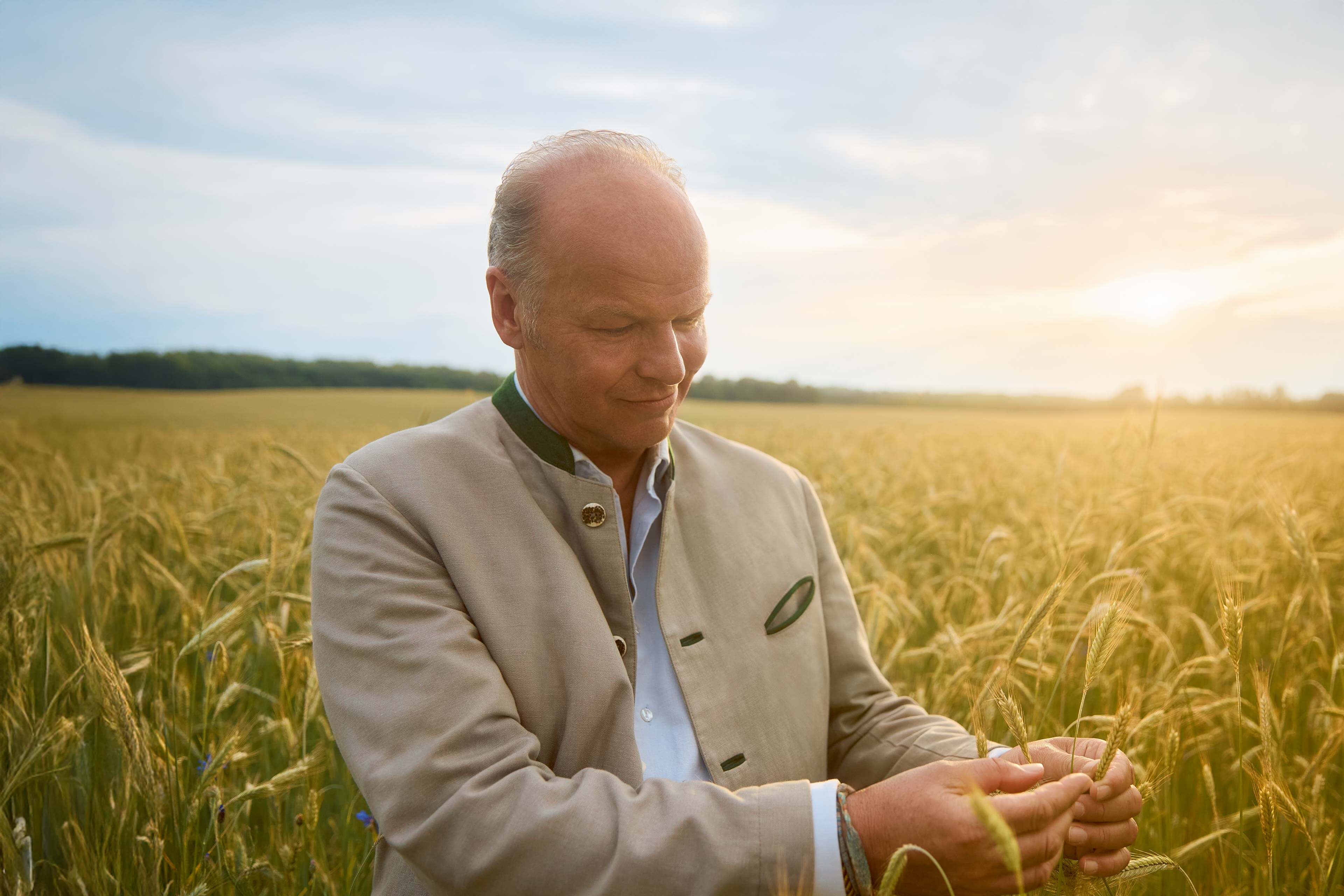 HiPP-Landwirt prüft bei Sonnenuntergang Getreideähren auf einem Bio-Feld.