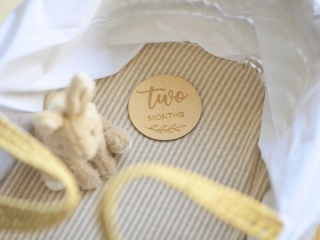Bassinet with milestone card and soft toy