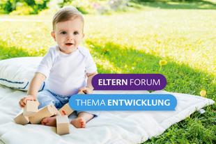 Lächelndes Baby sitzt im Grünen auf einer Decke und spielt mit Holzklötzen, Hinweis auf Elternforum zum Thema Entwicklung