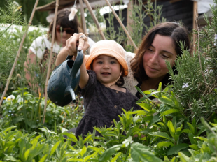 Toddler watering garden plants with a parent at a Little Muddy Boots outdoor nature session