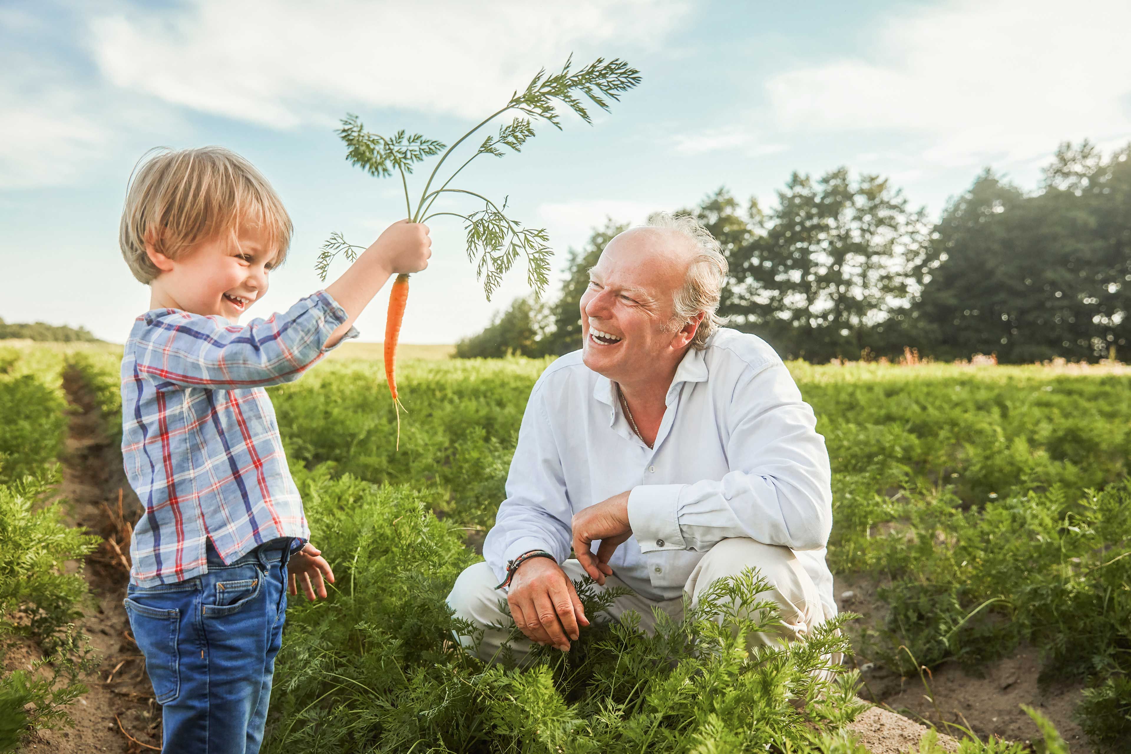 Stefan HiPP erntet Karotten mit einem Jungen
